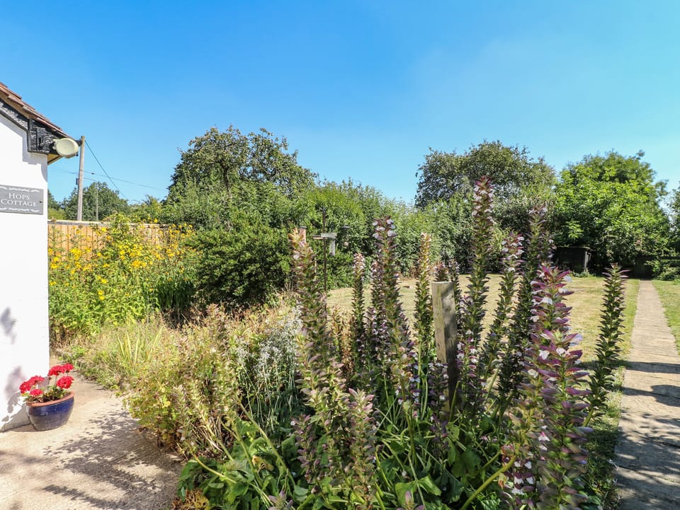 Cottage | Property grounds