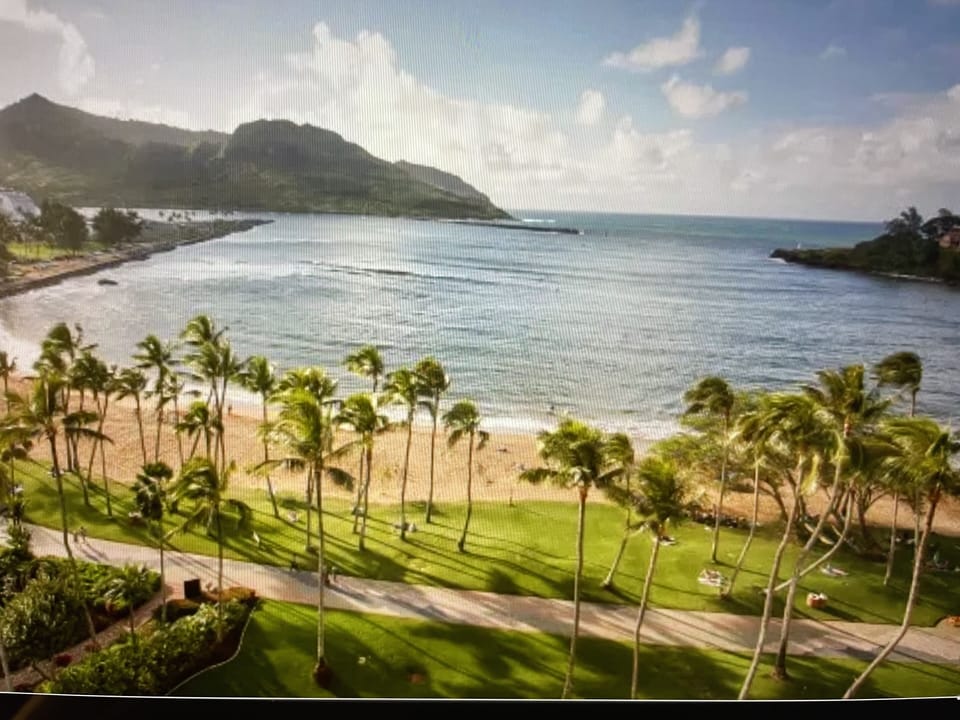 Kalapaki Beach next to Banyan Harbor surf board rental and lessons available 