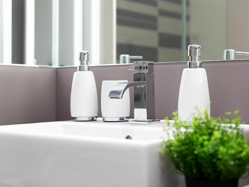 Plant, Drinkware, Automotive Design, Interior Design, Architecture, Houseplant, Material Property, Flowerpot, Gas, Home Appliance