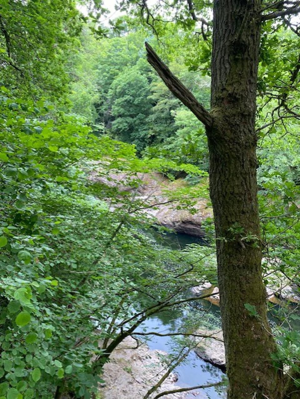 Cabin | Property grounds