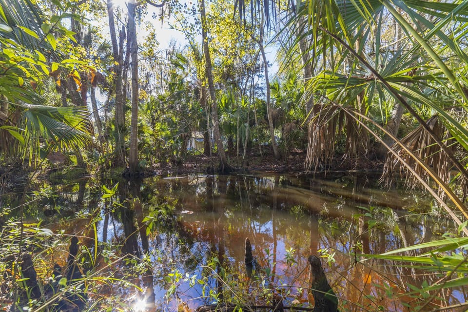 Creek - Back of Property