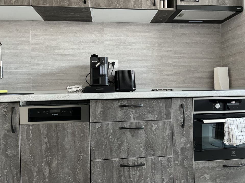 Presidential Apartment | Private kitchen | Full-size fridge, microwave, stovetop, dishwasher