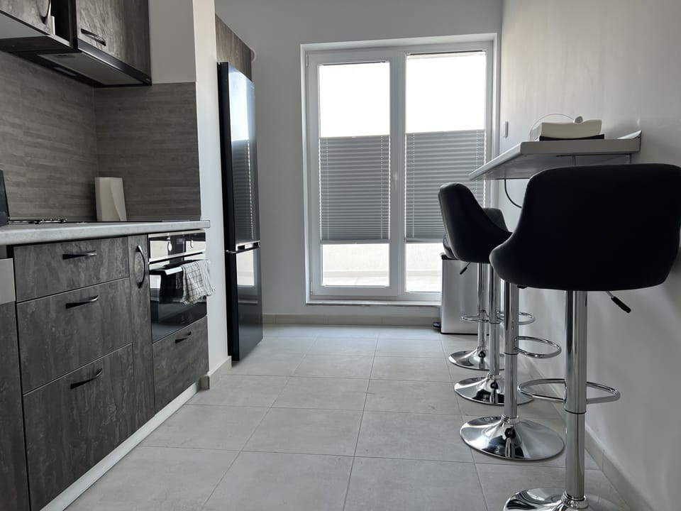 Presidential Apartment | Private kitchen | Full-size fridge, microwave, stovetop, dishwasher