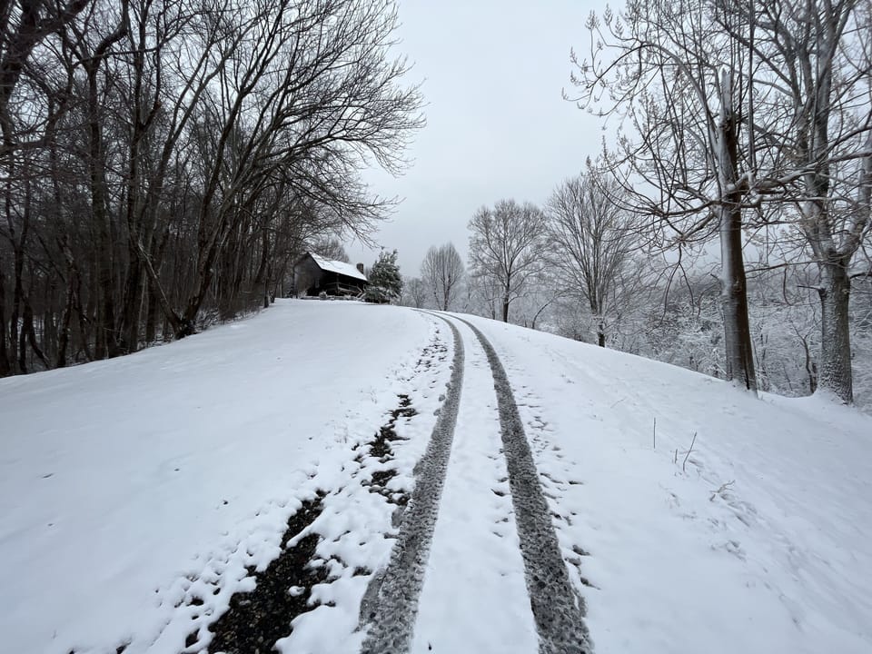 Driveway leading to the house  