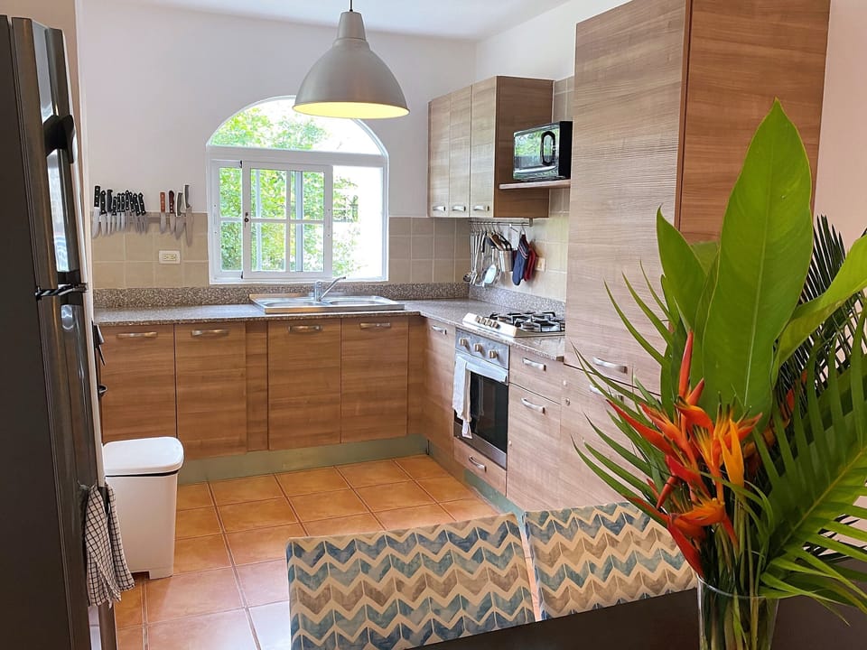 Kitchen fully equipped