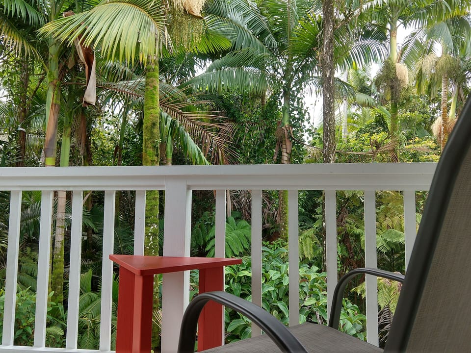 View from guest private lanai in upper suite, adjacent to master bedroom.