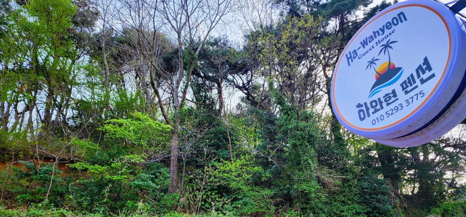 The sea-view takes the cake, but the forest and the birds put the cherry on top.