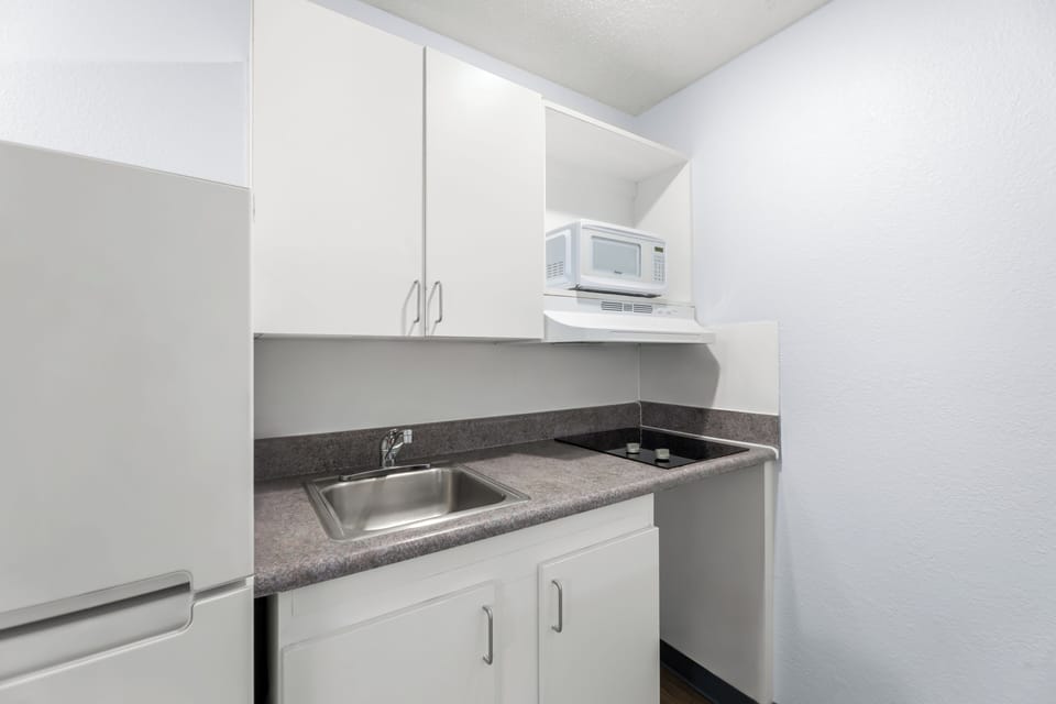 Premium Double Room | Private kitchen | Fridge, microwave, stovetop, freezer