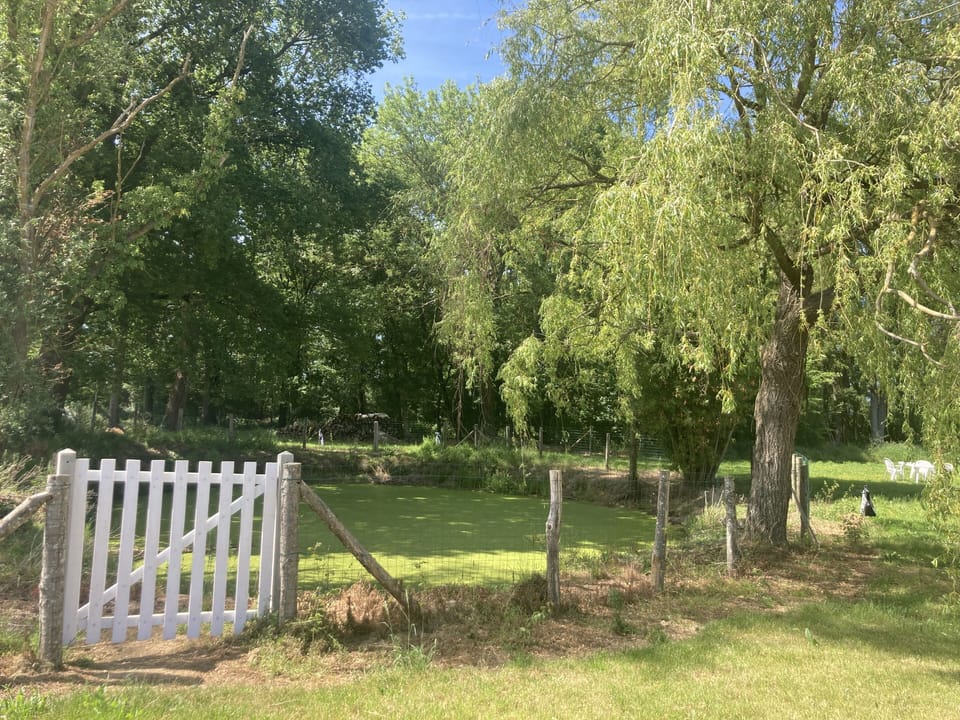 the fully fenced pond next to the main house