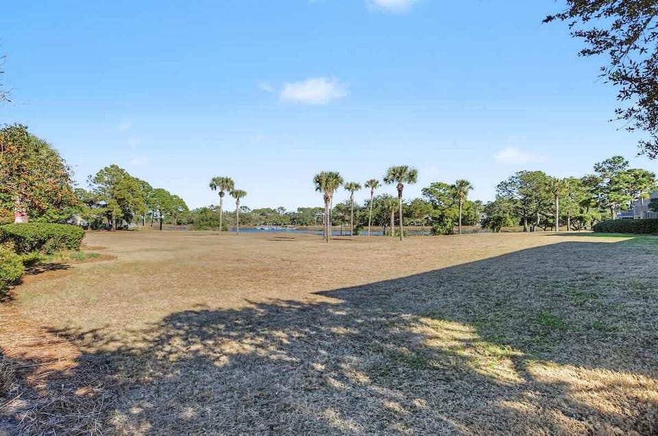 Expansive open field surrounded by lush palm trees and mature oaks under sunny blue skies in the local area.