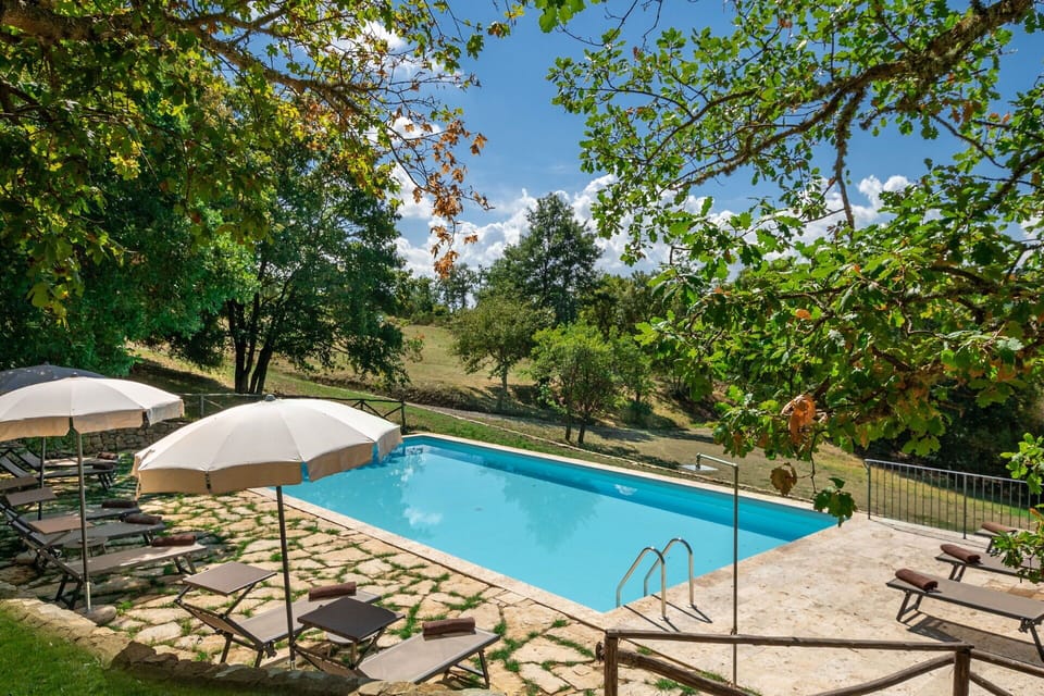 Garden, Outdoor, Pool