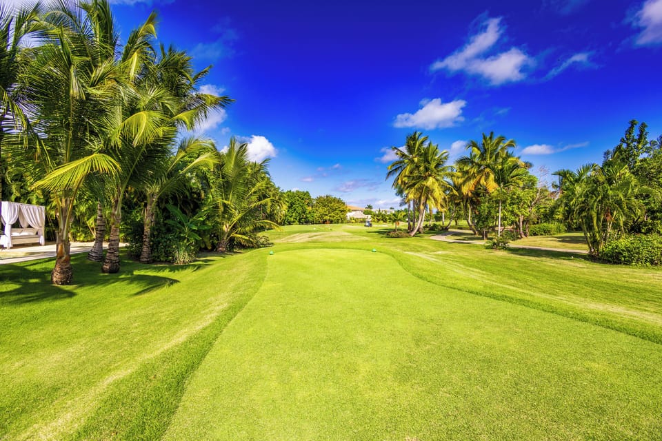 Golf view