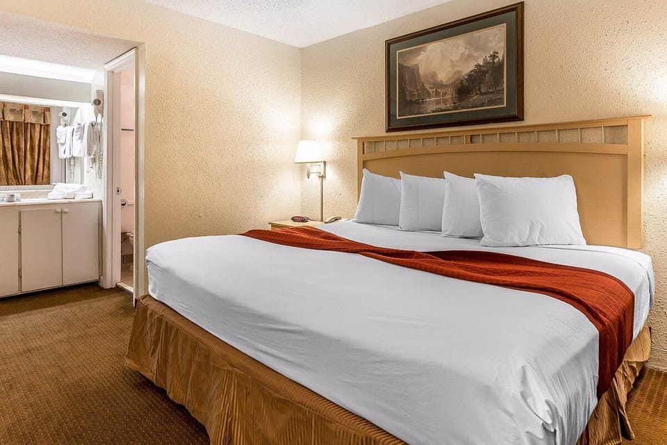 Blackout drapes, iron/ironing board, free WiFi, bed sheets