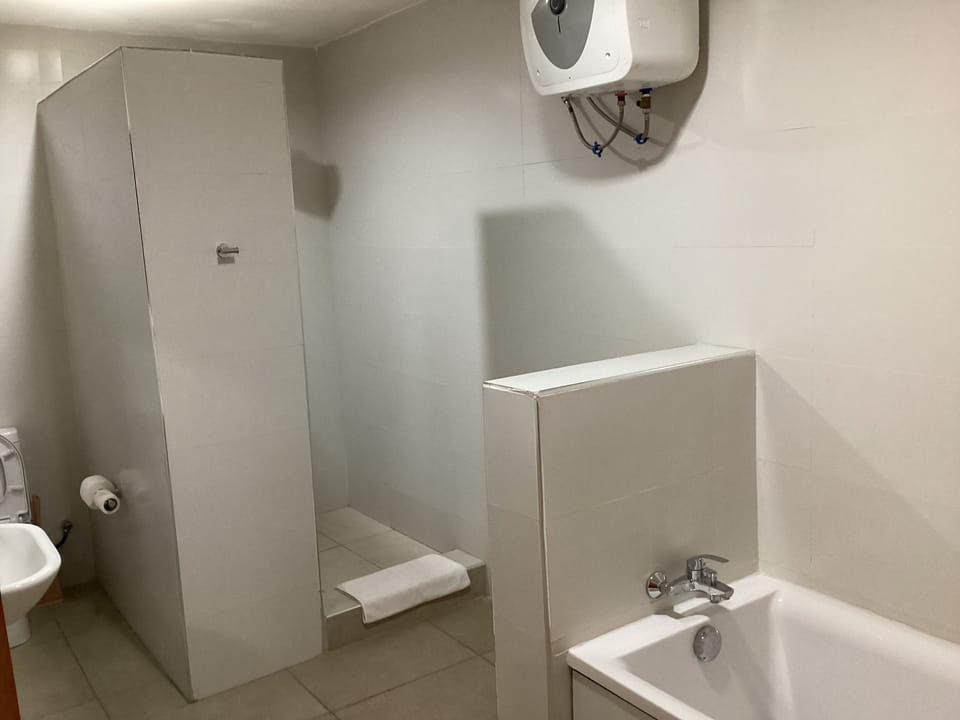 Premium Suite | Bathroom | Free toiletries, towels, soap, shampoo
