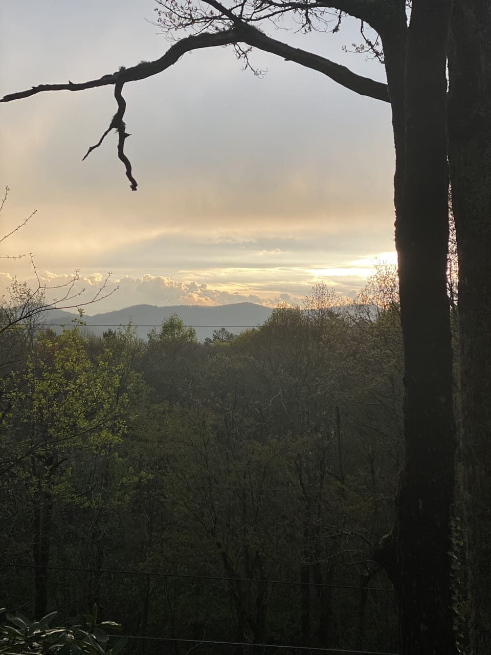 View from the porch