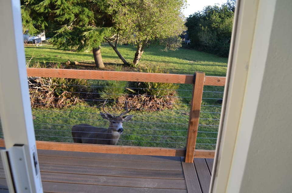 Neighbors usually visit