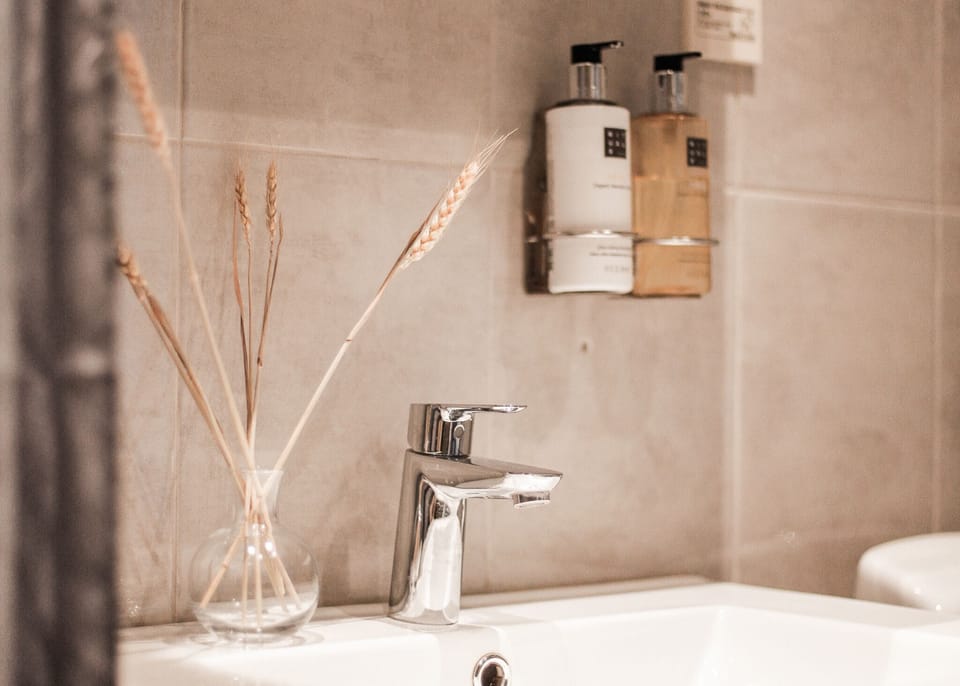 Deluxe Double Room | Bathroom | Towels, toilet paper
