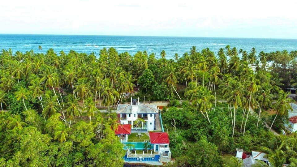 Image 7