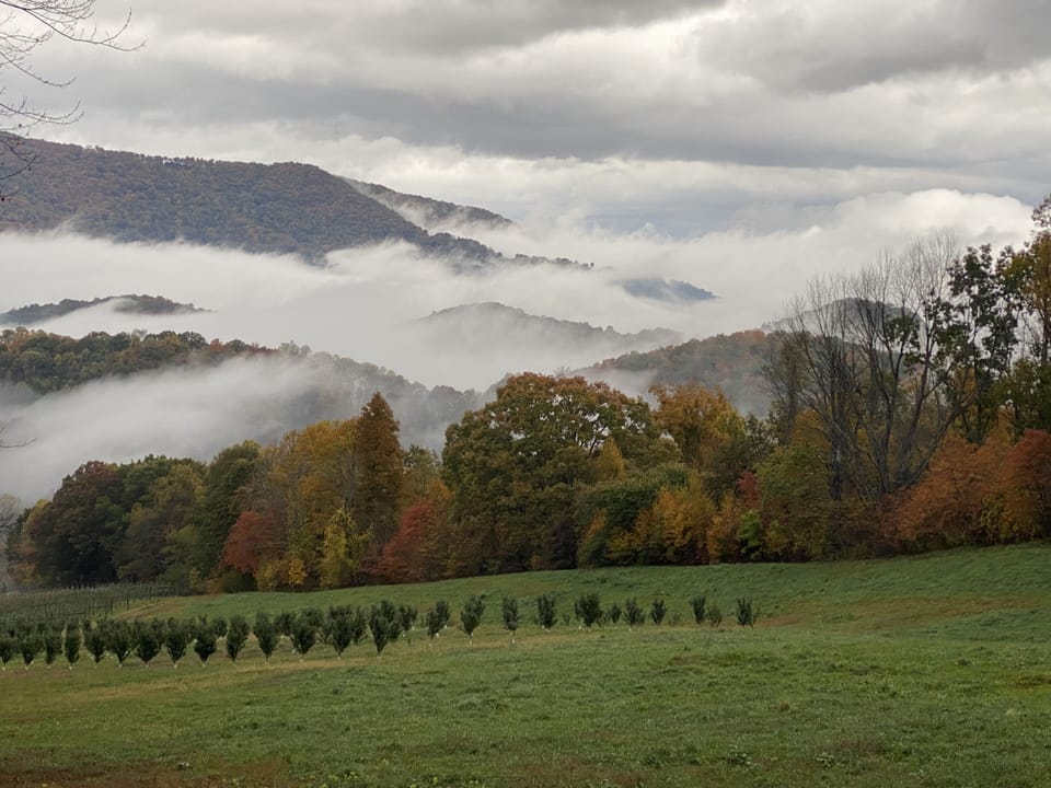 Misty Mountain Views
