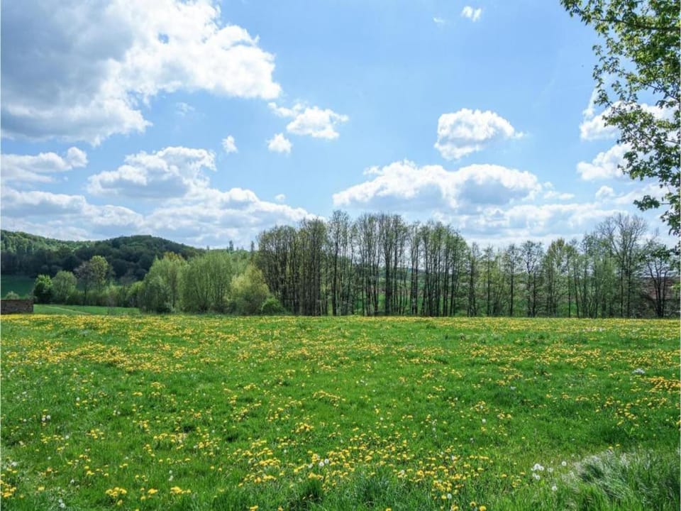 Region [summer] (>5 km)
