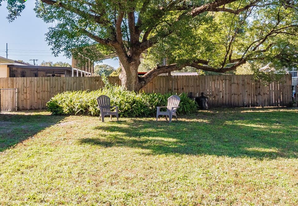 Spacious Back yard ( fenced), with mature Camphor tree for address shade