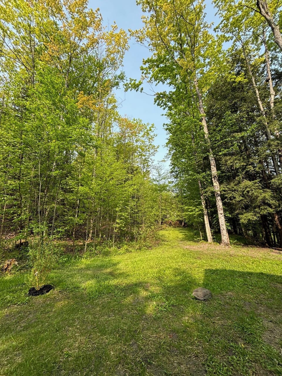 RWC Wooded Privacy