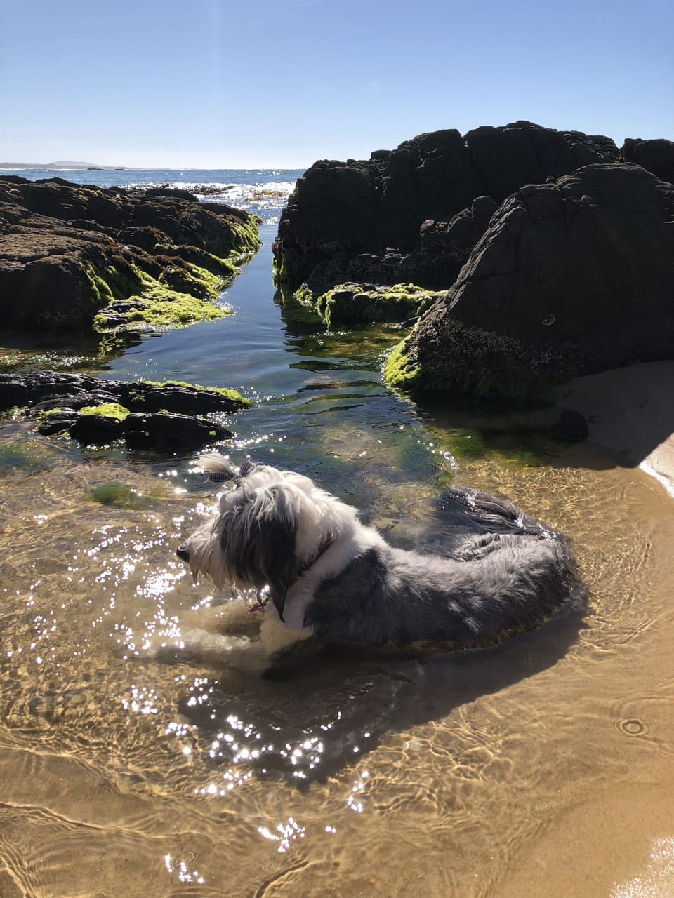 Exploring the rock pools at Py-Yoot Beach