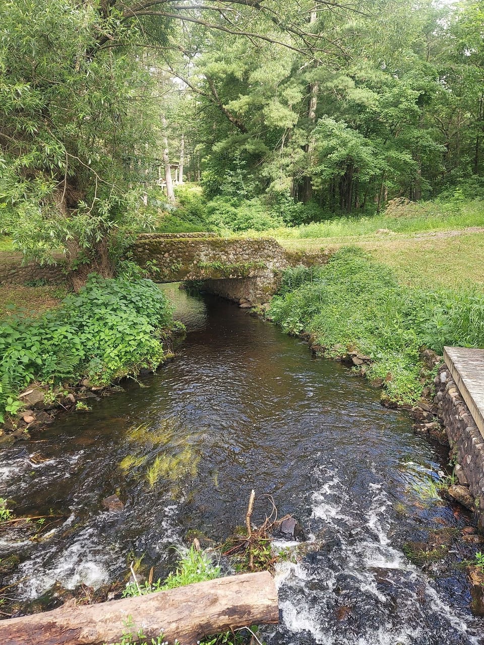Knapp river bridge