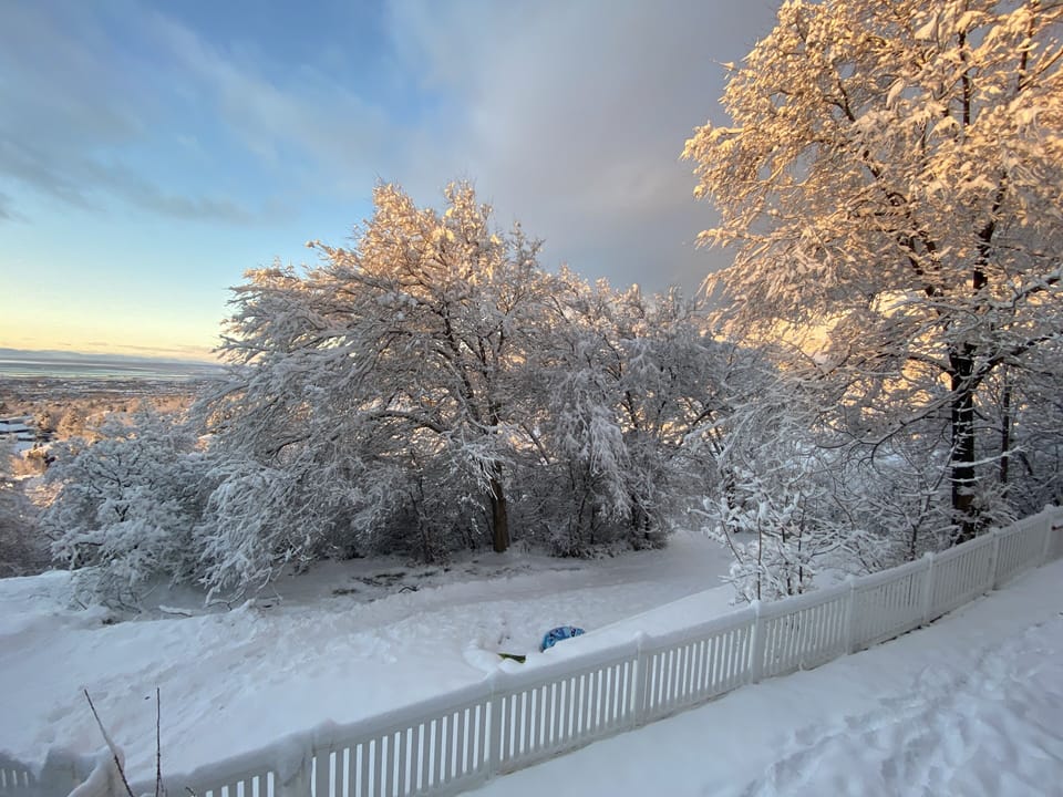 Snow creates private sledding hill for kids in backyard