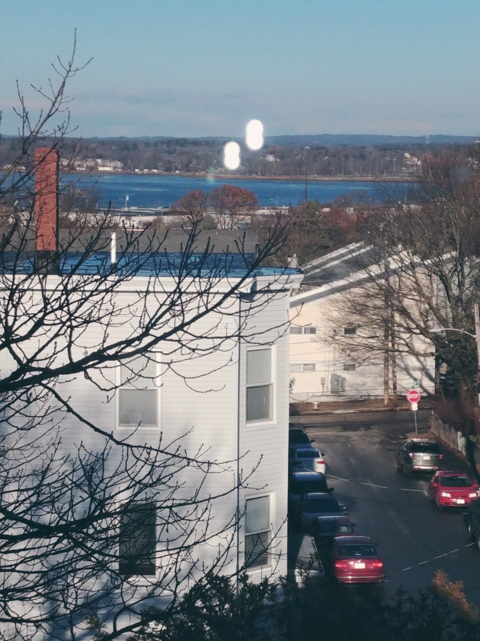 Westward view from kitchen window