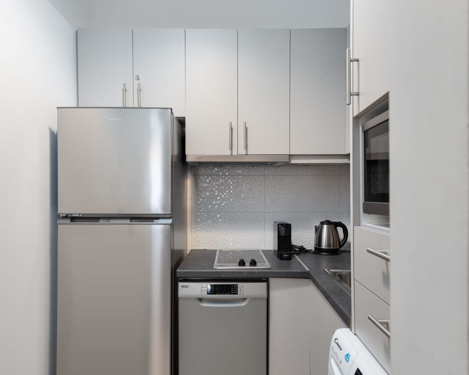 Business Apartment, 2 Bedrooms, City View | Private kitchen | Full-size fridge, microwave, stovetop, dishwasher