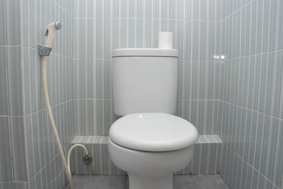 Shower, free toiletries, towels