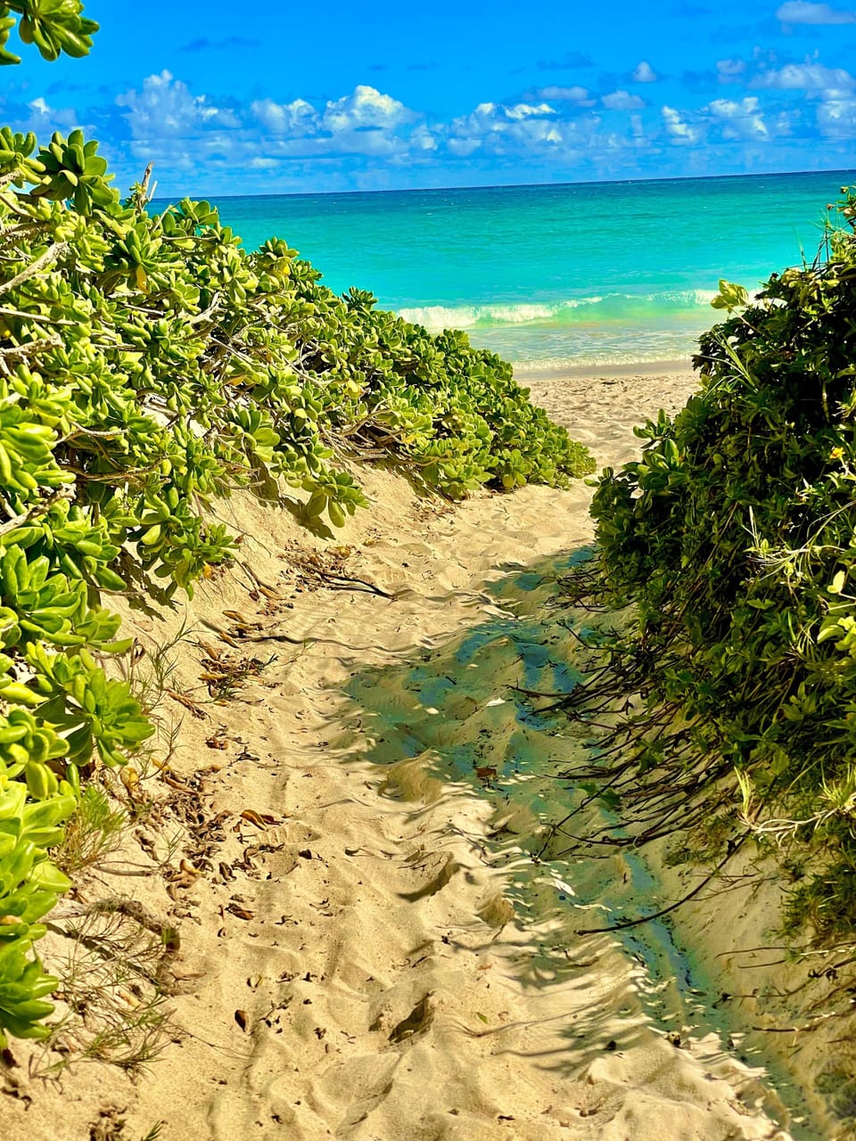 Your beach path - just down the path to powdery sand and aqua crystal waters