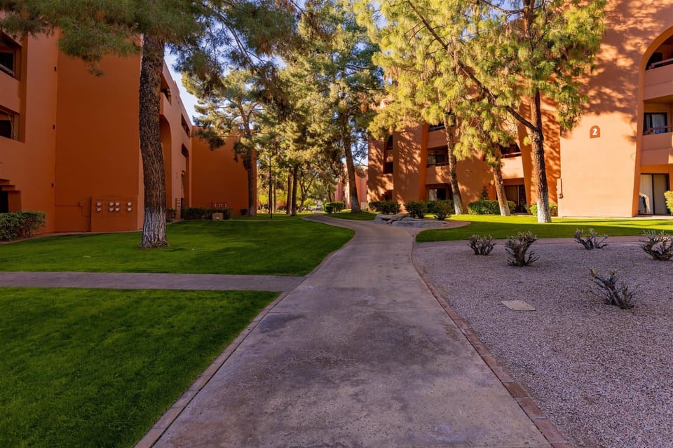 Sunlit courtyard with lush greenery and peaceful walkways