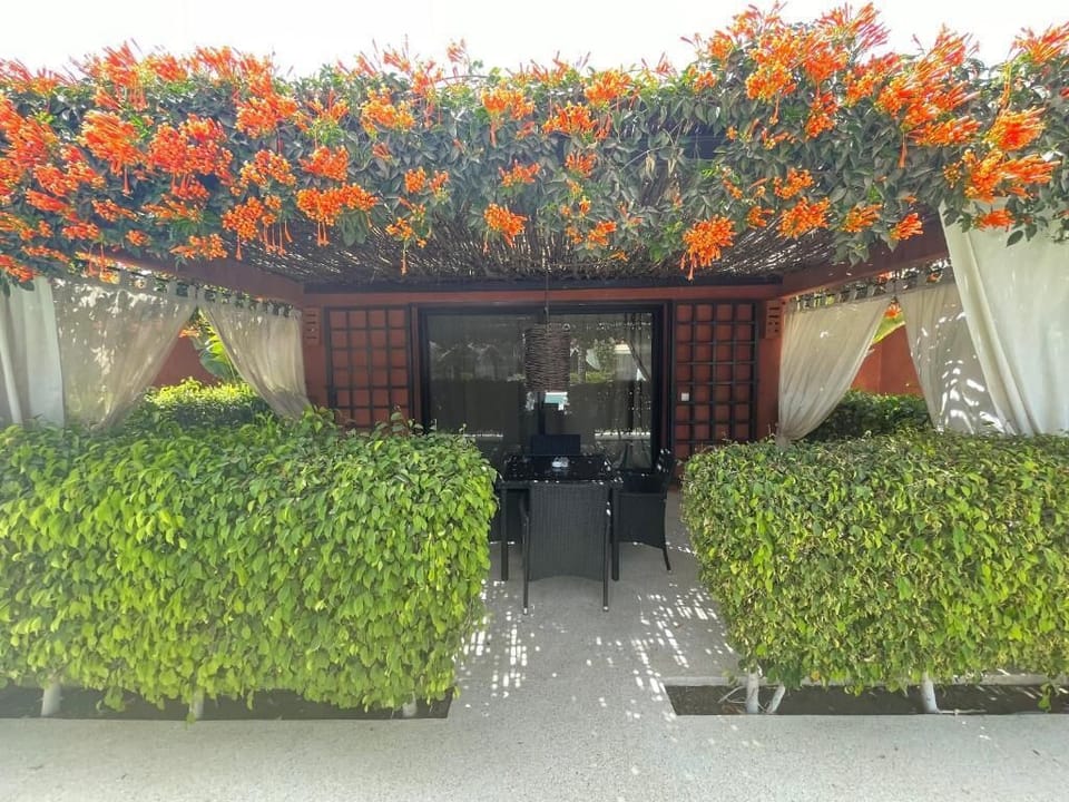 Classic Double Room, Patio, Poolside | Terrace/patio