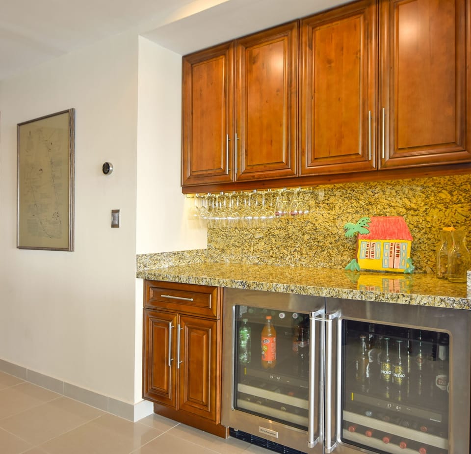 Bar with wine fridge