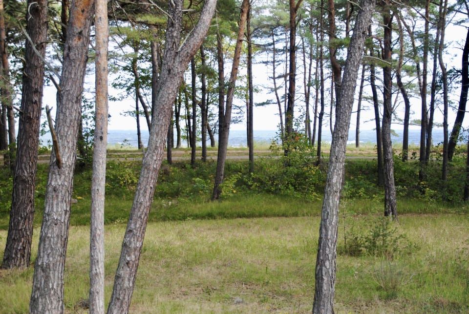 View from property