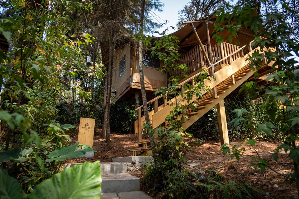 Comfort Cabin (Pistache) | 2 bedrooms, laptop workspace, free cribs/infant beds, travel crib