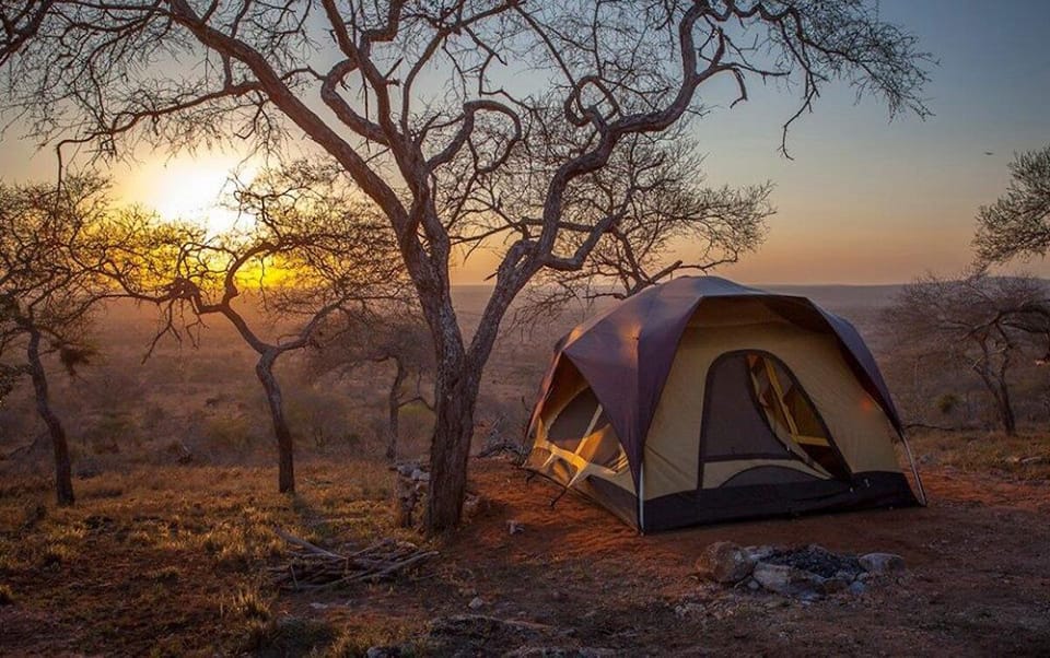 Tent | Bed sheets