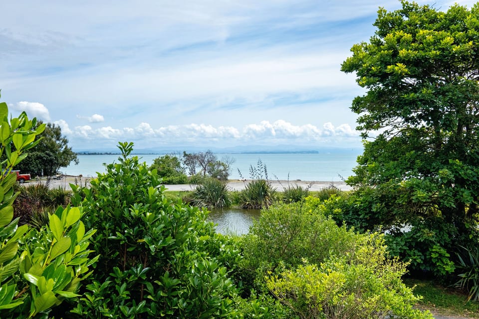   View from front deck