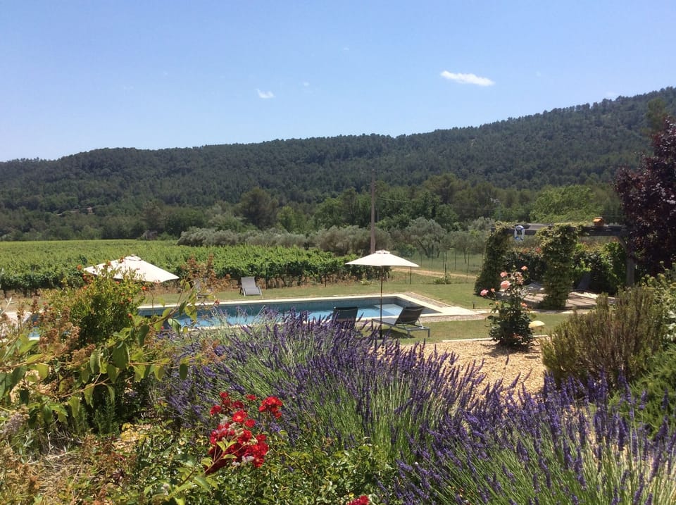 View from the terrace