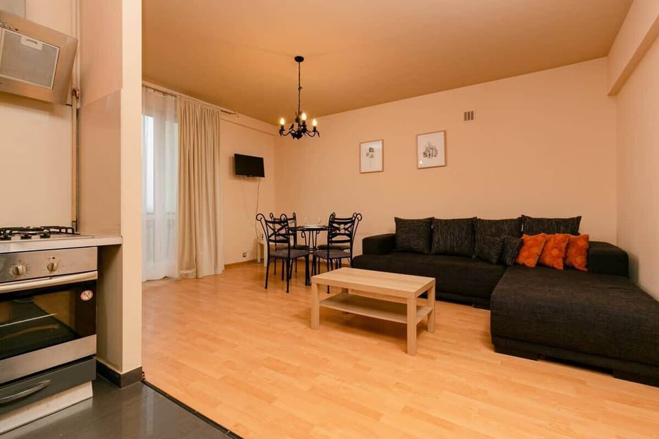 Comfortable, fold-out sofa in the living room. 