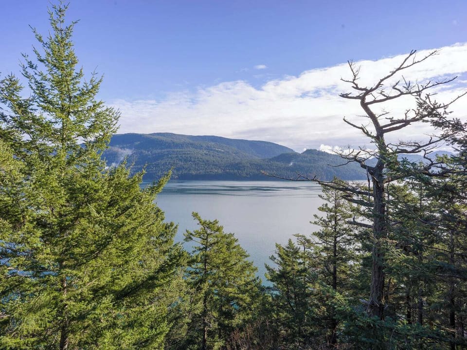 Amazing view of the Eastsound Bay