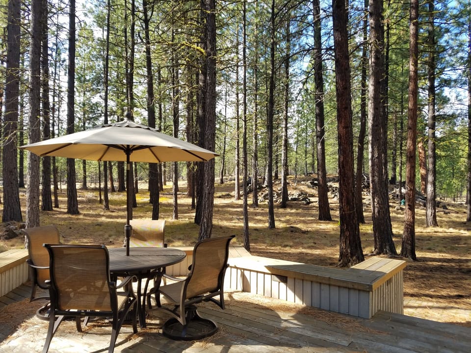 Rear Patio