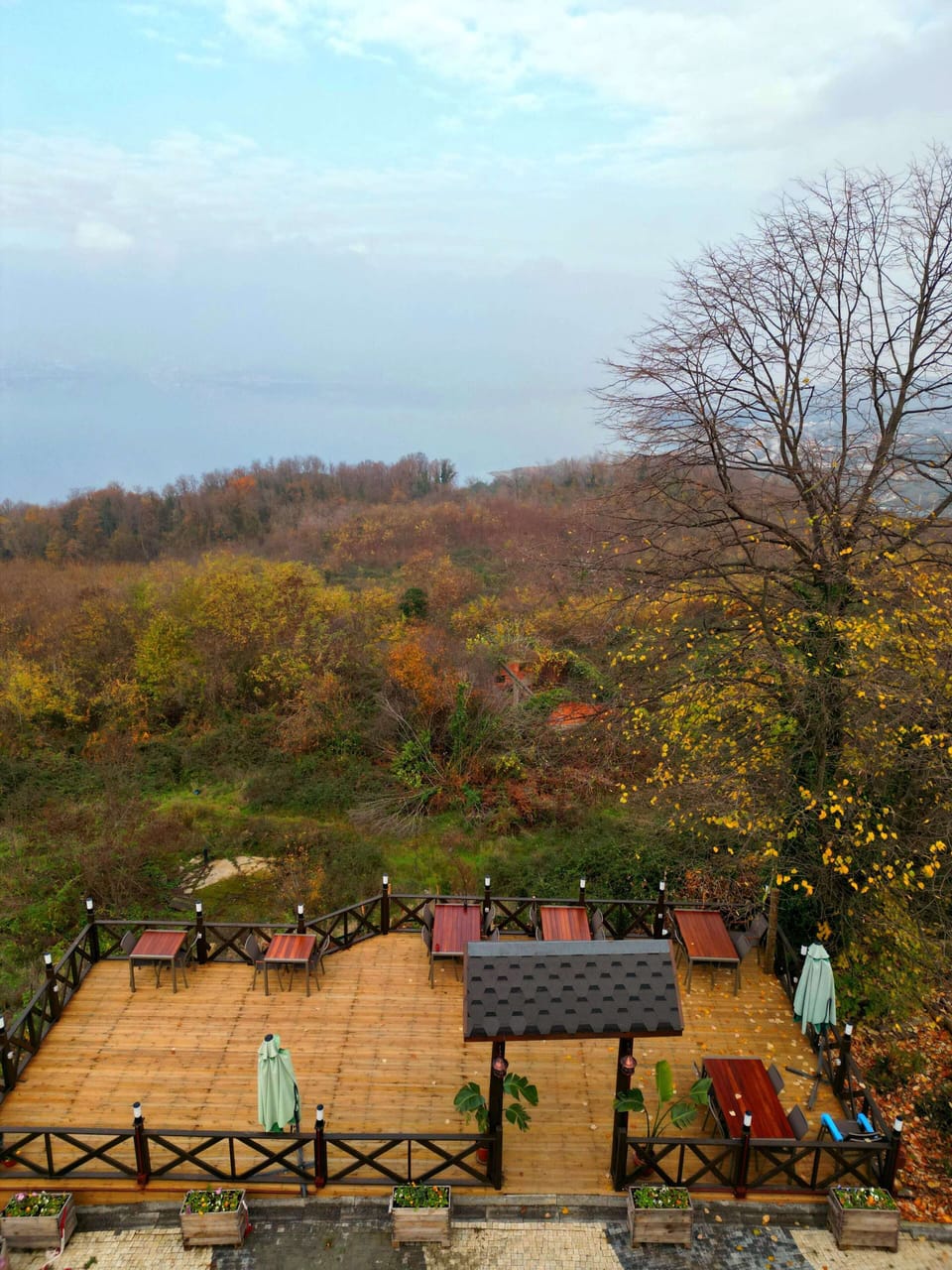 View from property
