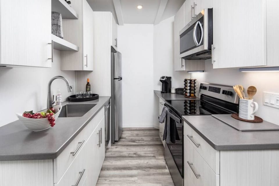 Dishwasher, coffee maker, French press, blender, and toaster