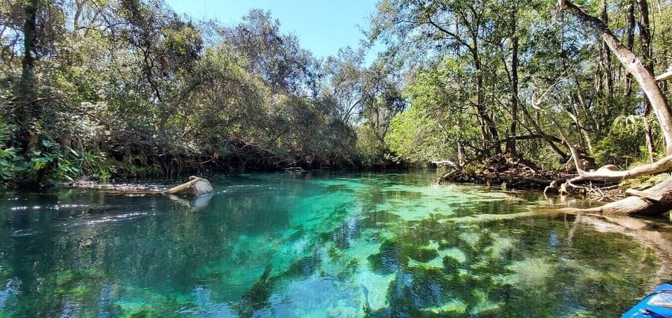 Weeki Wachee River-8 minute drive from home