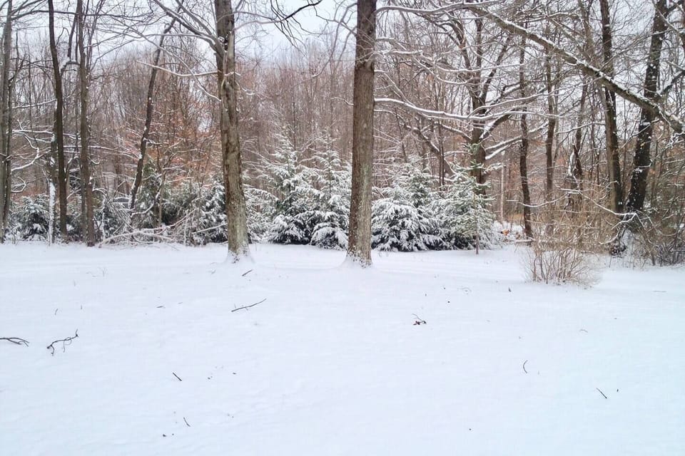 Hidden Springs Haven is your year-round escape from the hustle and bustle of the city. 