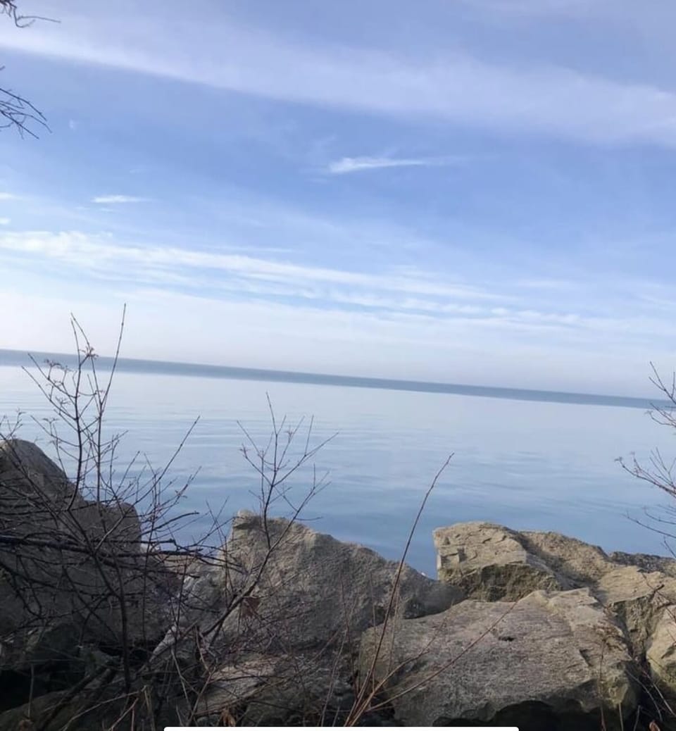 View from the shoreline