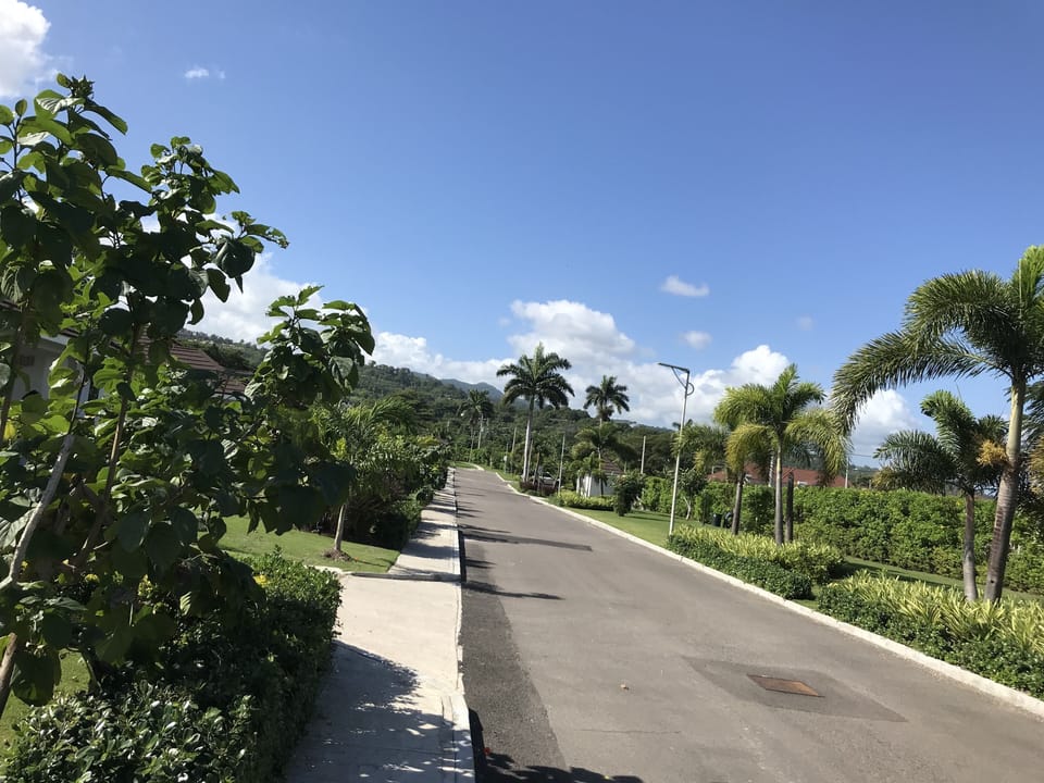 View from porch